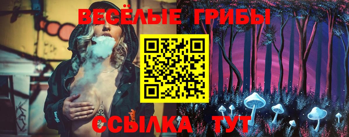 Псилоцибиновые грибы ЛСД  Псилоцибиновые грибы MAGIC MUSHROOMS  дарнет шоп  Нарьян-Мар  Вход с VPN 